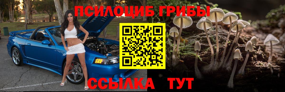 Галлюциногенные грибы мухоморы Абинск